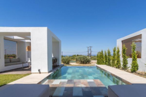 V&P Villas Pefkochori